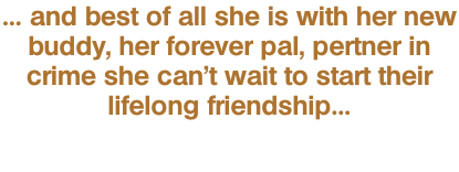 … and best of all she is with her new buddy, her forever pal, pertner in crime she can’t wait to start their lifelong friendship…