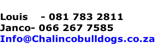 Louis  	 - 081 783 2811 Janco- 066 267 7585 Info@Chalincobulldogs.co.za