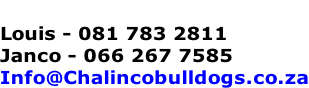 Louis - 081 783 2811 Janco - 066 267 7585 Info@Chalincobulldogs.co.za