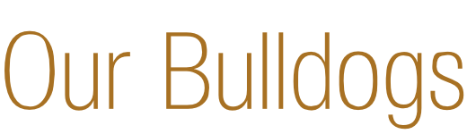 Our Bulldogs